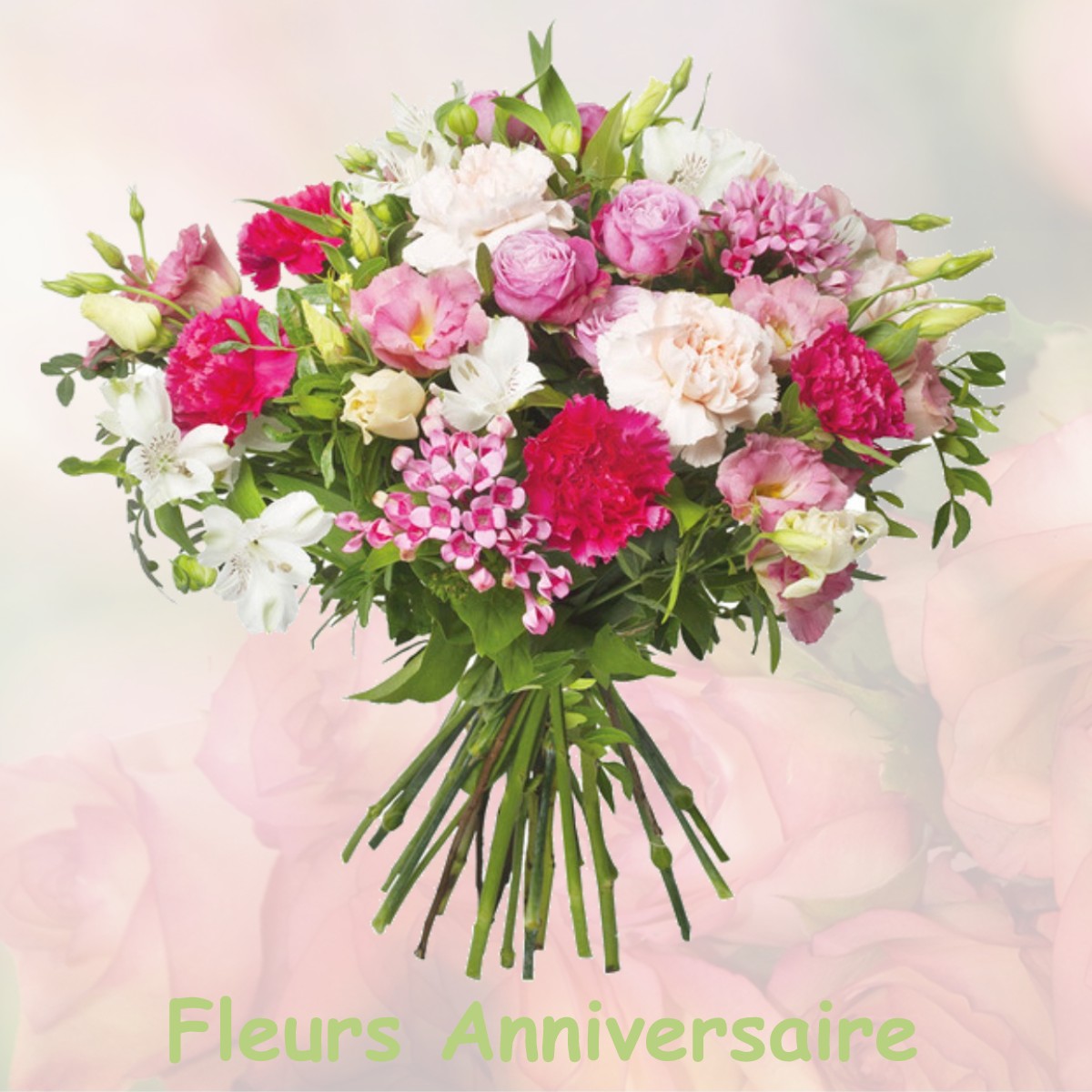 fleurs anniversaire LAPERRIERE-SUR-SAONE